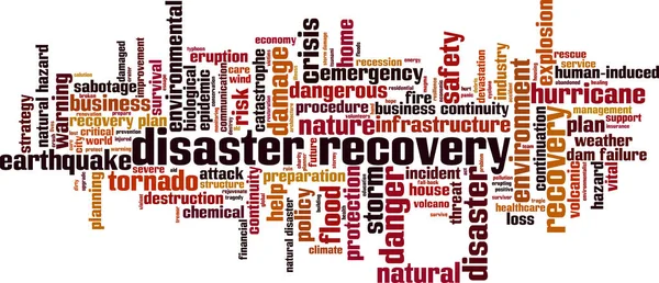 Disastro Concetto Recupero Parola Cloud Collage Parole Sul Disaster Recovery — Vettoriale Stock