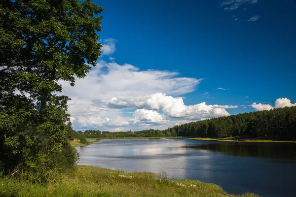 숲과 호수와 여름 풍경 — 스톡 사진