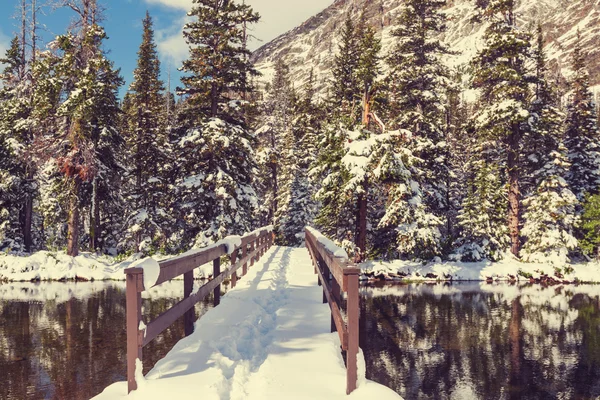 Vinter i Glacier Park — Stockfoto