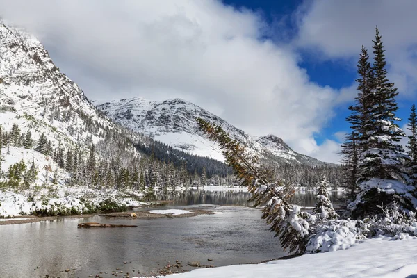 Invierno en Glacier Park — Foto de Stock