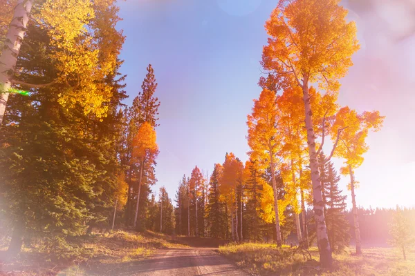 Kolorowe sceny jesień — Zdjęcie stockowe