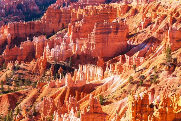 Bryce canyon in utah — Stockfoto