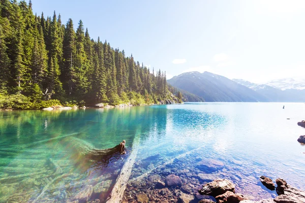 Turquoise Garibaldi Lake — Stock Photo, Image