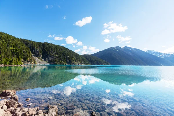 Turkos Garibaldi Lake — Stockfoto