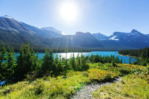 Gletscher-Nationalpark — Stockfoto