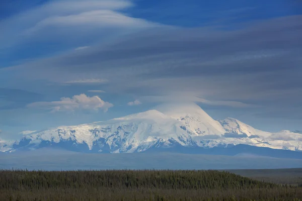 Montagne dell'Alaska in estate — Foto Stock