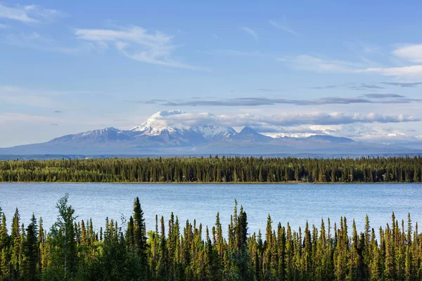 Montagne dell'Alaska in estate — Foto Stock