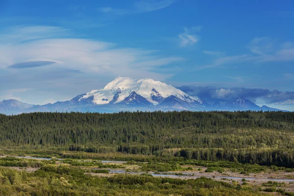 夏のアラスカの山 — ストック写真