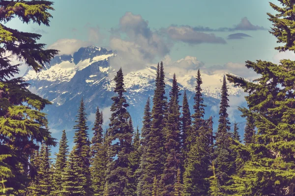 Wunderschöne berge in kanada — Stockfoto