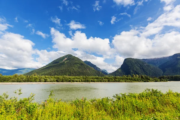 캐나다의 아름 다운 산 — 스톡 사진