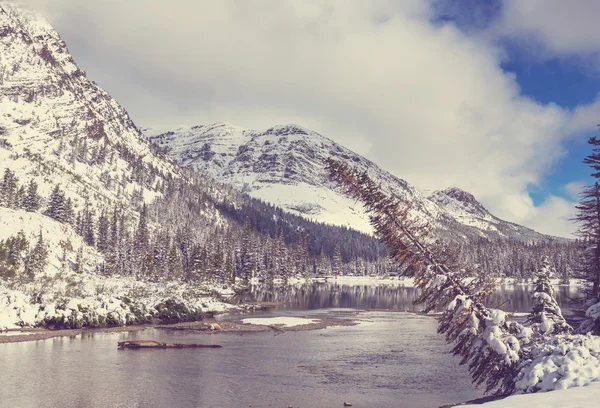 Vinter i Glacier Park — Stockfoto