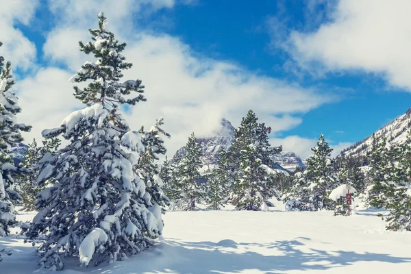 Winter in Glacier Park — Stockfoto
