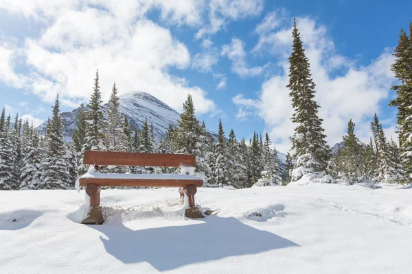 A gleccser Park télen — Stock Fotó