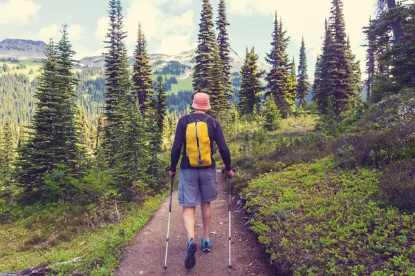 Wandelen man in de bergen — Stockfoto