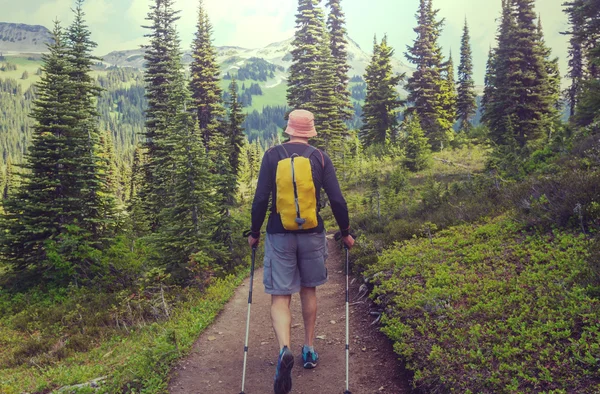 Caminhadas homem nas montanhas — Fotografia de Stock