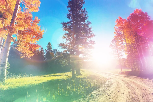 Renkli sonbahar sahne — Stok fotoğraf