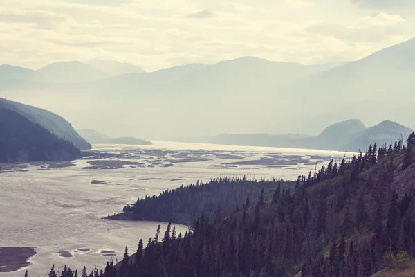 Горы Аляски летом — стоковое фото