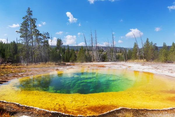 Morning glory pool — Stockfoto