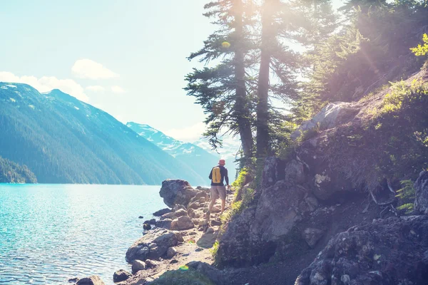 Hombre de senderismo en montañas canadienses — Foto de Stock