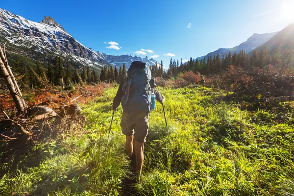 Caminata en Glacier Park — Foto de Stock