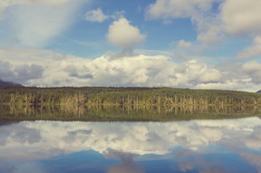 Vancouver Adası yaz aylarında
