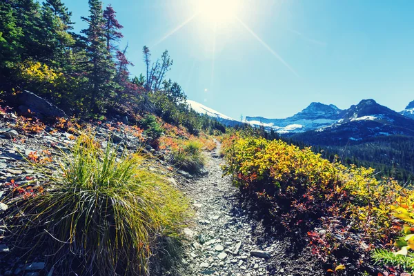 Glacier nationalpark — Stockfoto