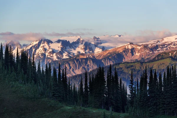 아름 다운 산 풍경 — 스톡 사진