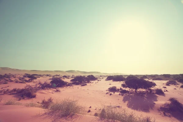 Піщані дюни пустелі Наміб. — стокове фото