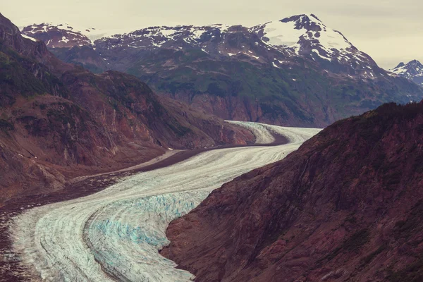 Glaciar del salmón en Stewart —  Fotos de Stock