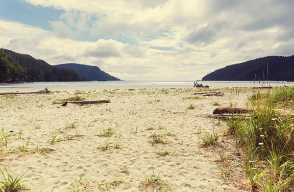 Vancouver Adası yaz aylarında — Stok fotoğraf