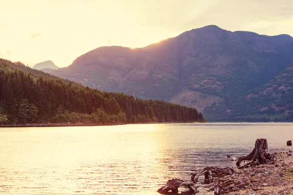 Vancouver Island in summer — Stock Photo, Image