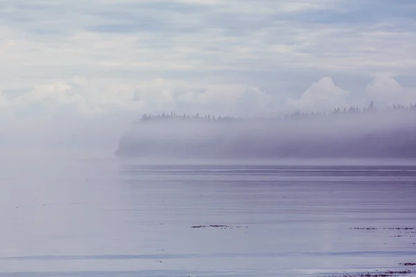 Île de Vancouver en été — Photo