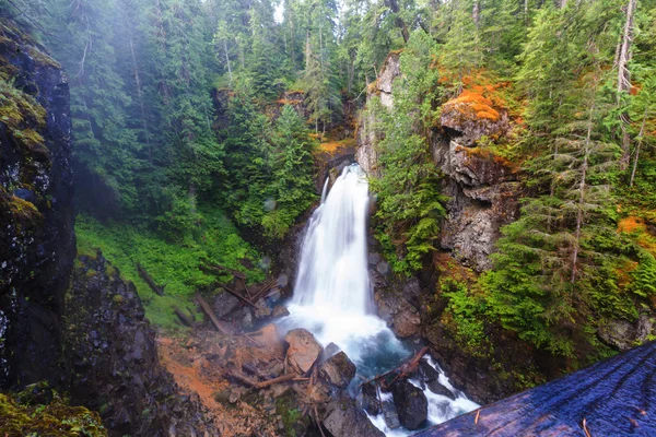 Водопад острова Ванкувер — стоковое фото