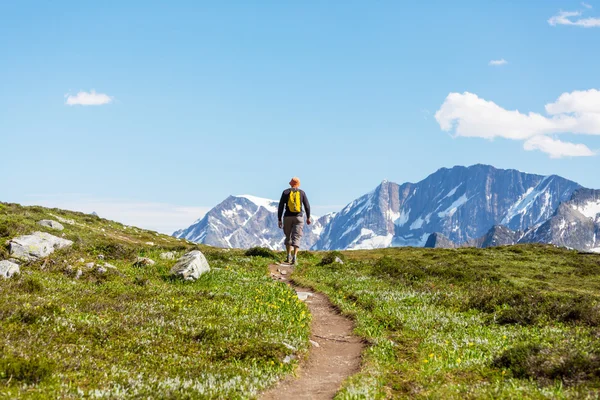 Hombre de senderismo en montaña canadiense — Foto de Stock