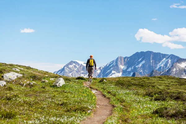 Homme de randonnée dans la montagne canadienne — Photo