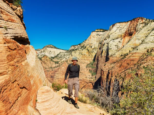 Caminhada no parque nacional de Zion — Fotografia de Stock