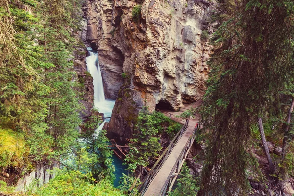 Johnston Canyon Banff NP:ssä — kuvapankkivalokuva