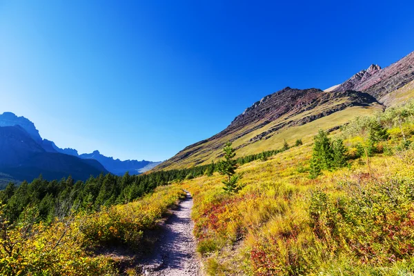 Hösten i Glacier Park — Stockfoto