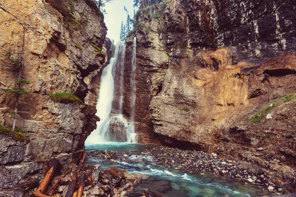 Banff Np kanyonda Johnston — Stok fotoğraf