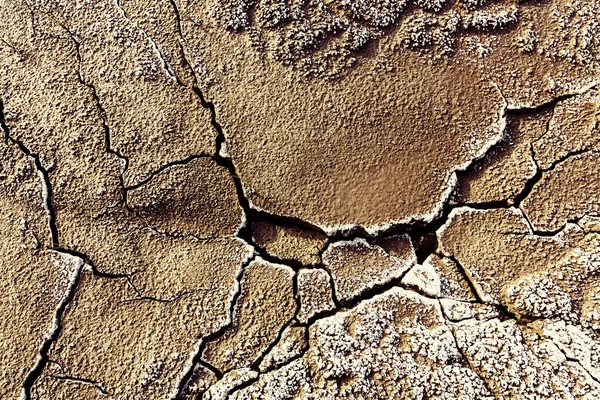 Textura půdy sucho — Stock fotografie