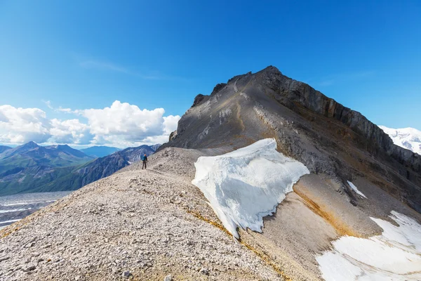 Wrangell-St Elias NP — Stockfoto