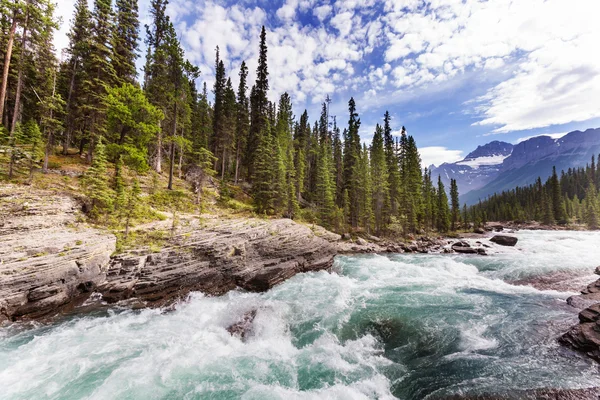 Athabasca river v Kanadě — Stock fotografie