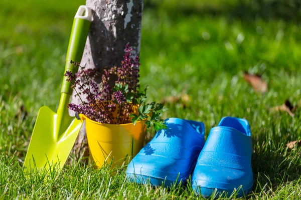 Garden tool and flowers — Stock Photo, Image