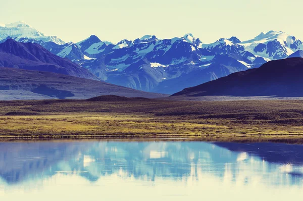 Góry, na Alasce, w lecie — Zdjęcie stockowe