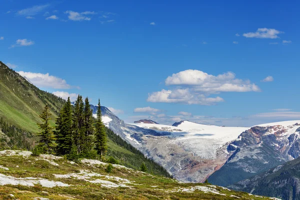 Bergen i Kanada i sommar — Stockfoto