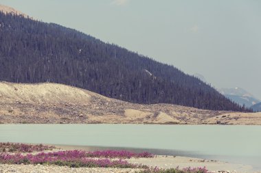 Kanada'da dağlarda yaz