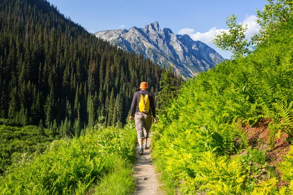 Піші прогулянки людина в канадських гора — стокове фото