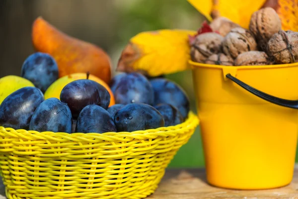 Herbstfrüchte und Walnüsse — Stockfoto