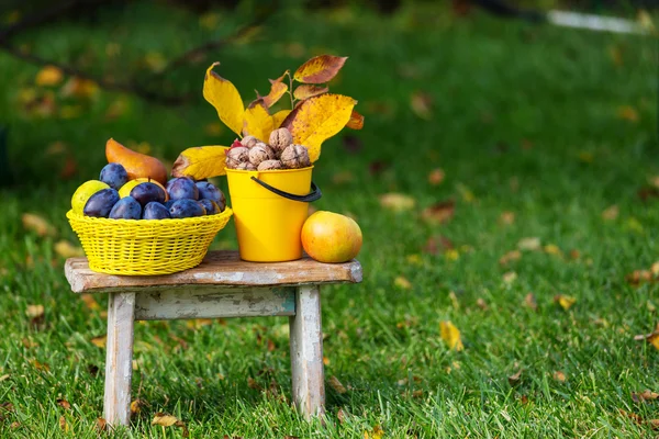 Sonbahar meyve ve ceviz — Stok fotoğraf