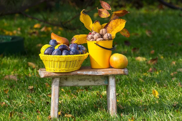 Fruits d'automne et noix — Photo